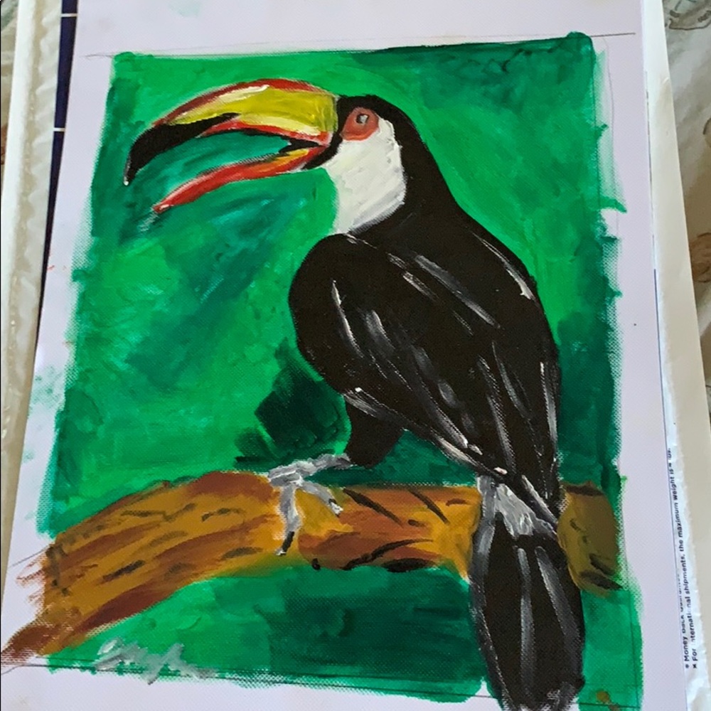 Toucan painting